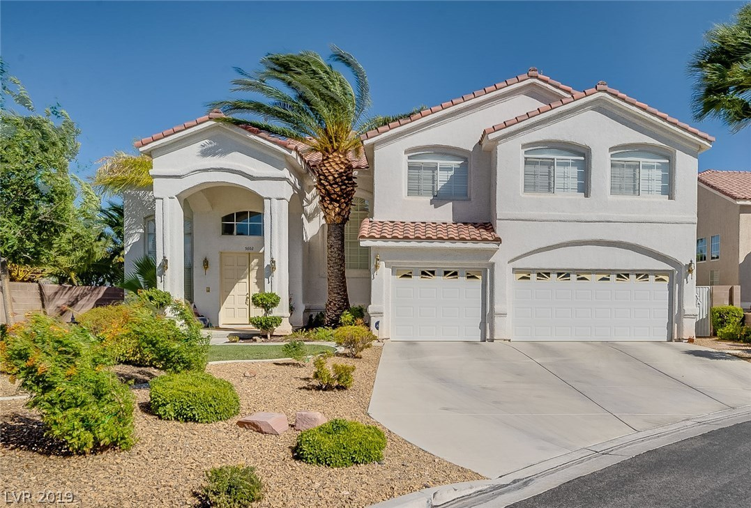 5602 Wild Olive